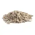 Sunflower Seed Kernel